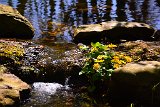 D70_8173