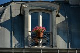 D70_4596