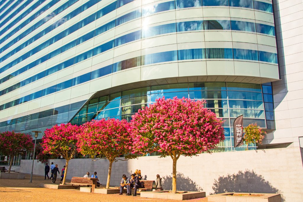 D70_8742+m.jpg - La Défense