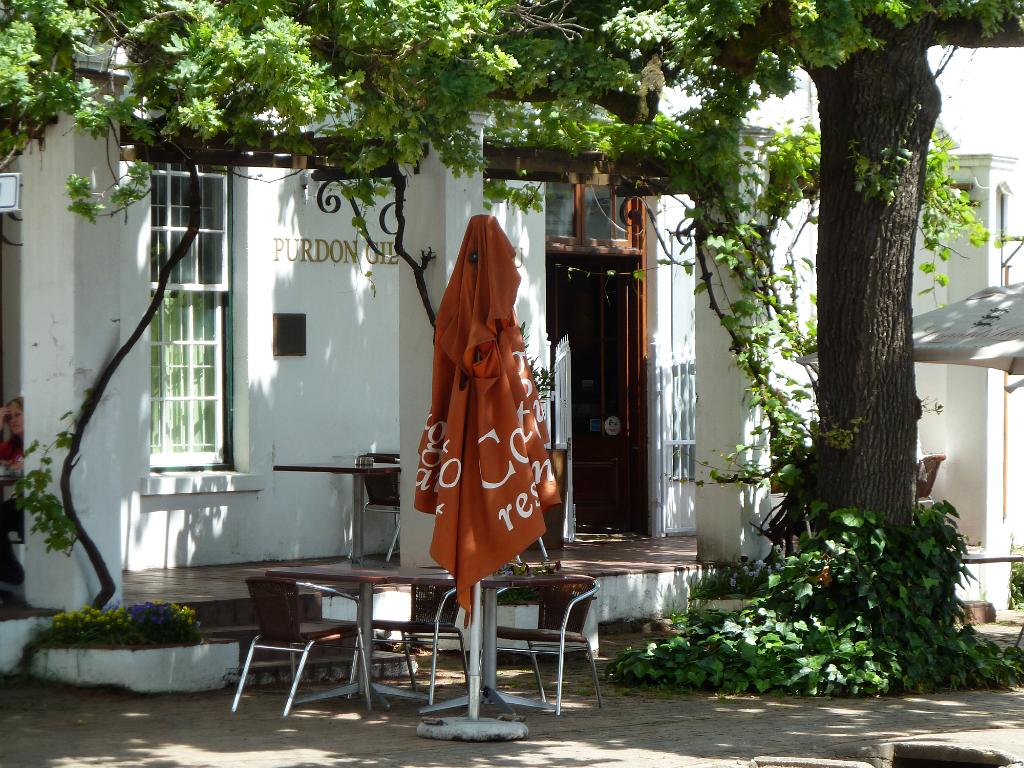 P1010025.JPG - Stellenbosch: [de]der Tisch unter dem alten Eichenbäumen läd zum Snack ein - wenn das Cafe geöffnet ist...[en]a cup of coffee in the shade of the old oak trees is always welcome - as long as the cafe is open...