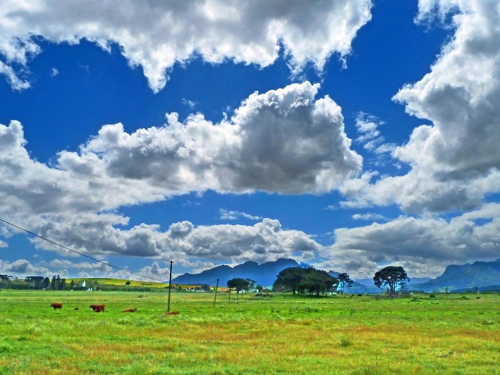 P1000987m.JPG - [en]Our hotel was situated a few miles outside Stellenbosch, opening a nice view on the pretty colours of the area every morning[de]Unser Hotel lag etwas außerhalb von Stellenbosch, mit einem schönen Blick auf die frischen Farben am Vormittag