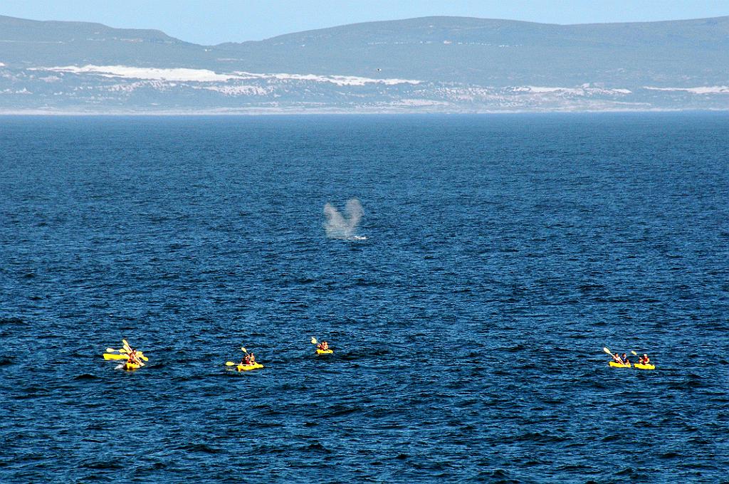 101_0679m.jpg - [en]Whale sign, Hermanus bay