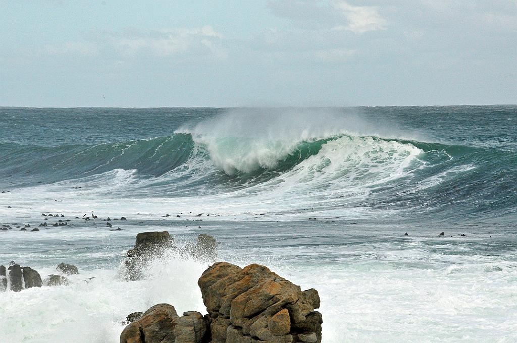 101_1174m.JPG - Betty's Bay