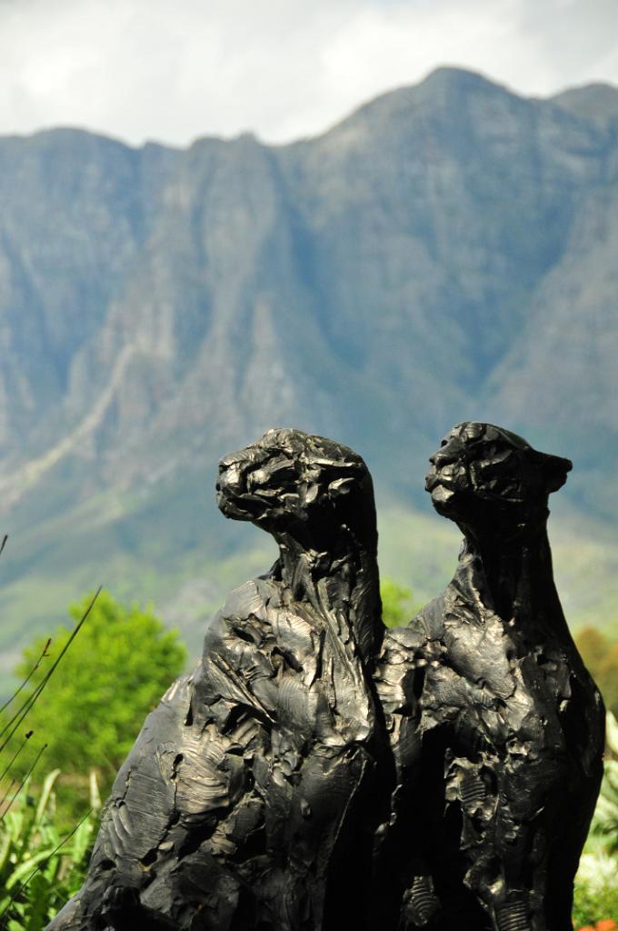 101_1319.jpg - Delaire